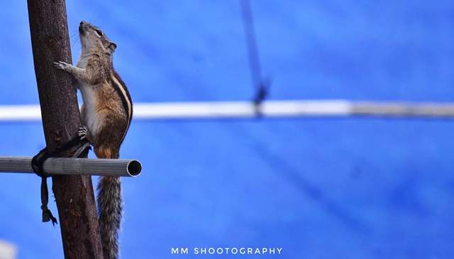 Photo by Ganesh Kumar