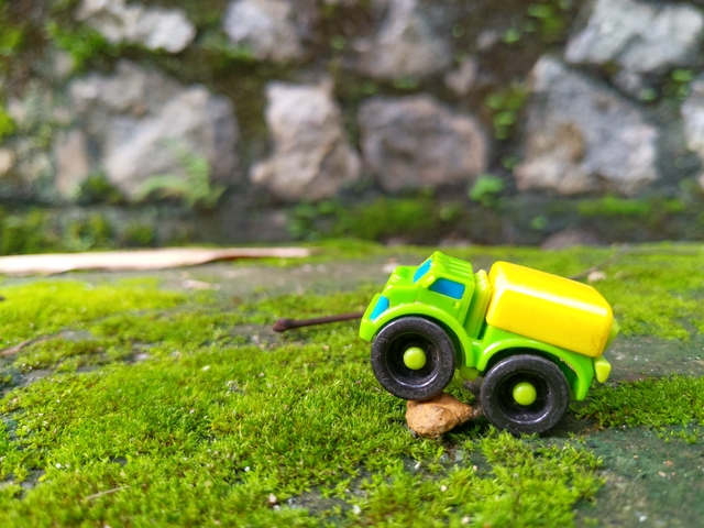 Photo by Ganesh Kumar