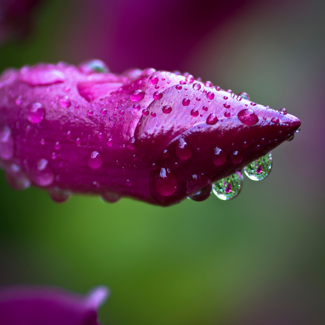 Photo by Ganesh Kumar