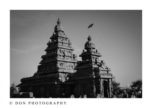 Photo by Ganesh Kumar