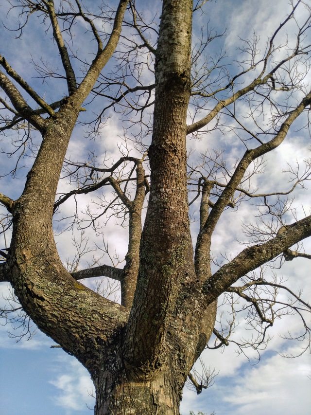 Photo by Ganesh Kumar