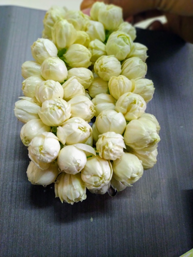 Photo by Ganesh Kumar