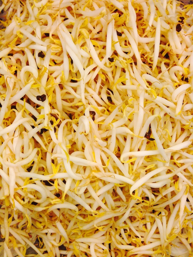 Photo by Jamal Mohammed