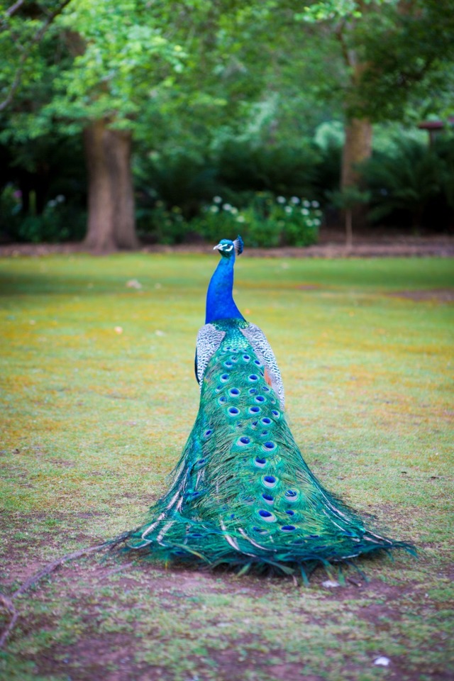 Photo by Jamal Mohammed