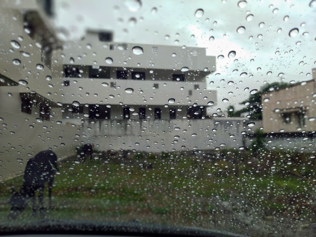 Photo by Ganesh Kumar