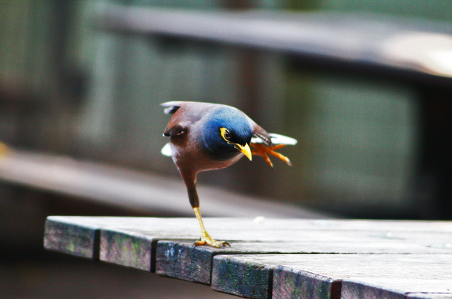 Photo by Ganesh Kumar