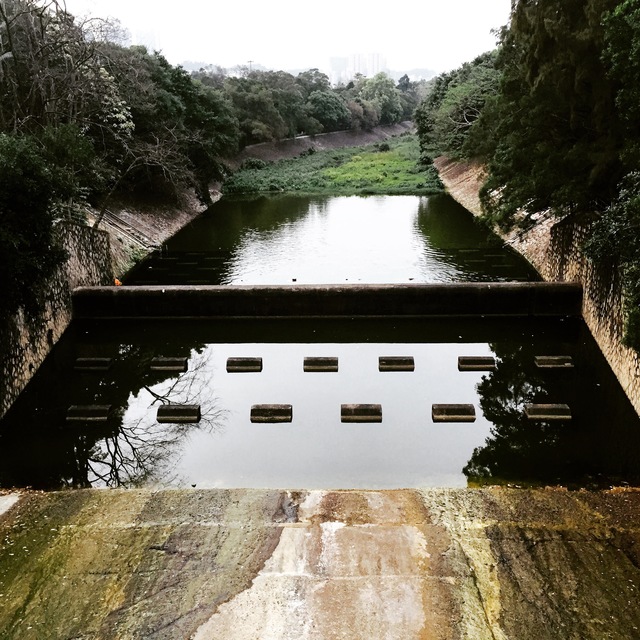 Photo by Jamal Mohammed