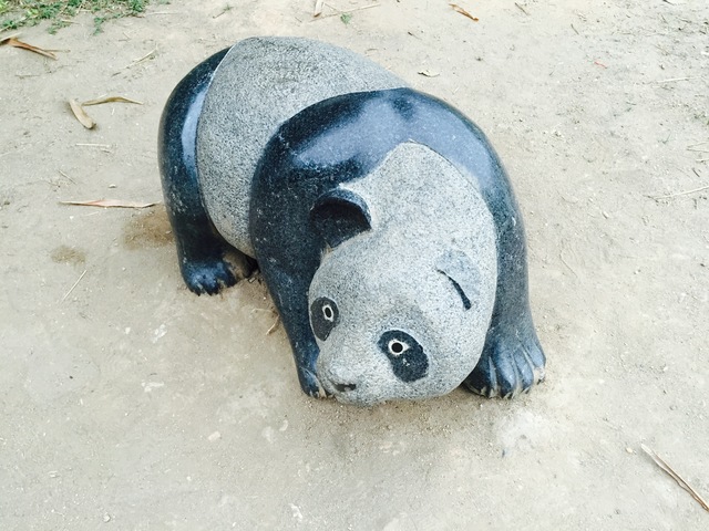 Photo by Jamal Mohammed